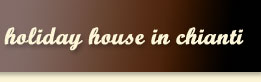 holiday apartments in chianti